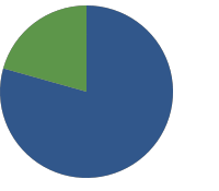 results pie chart